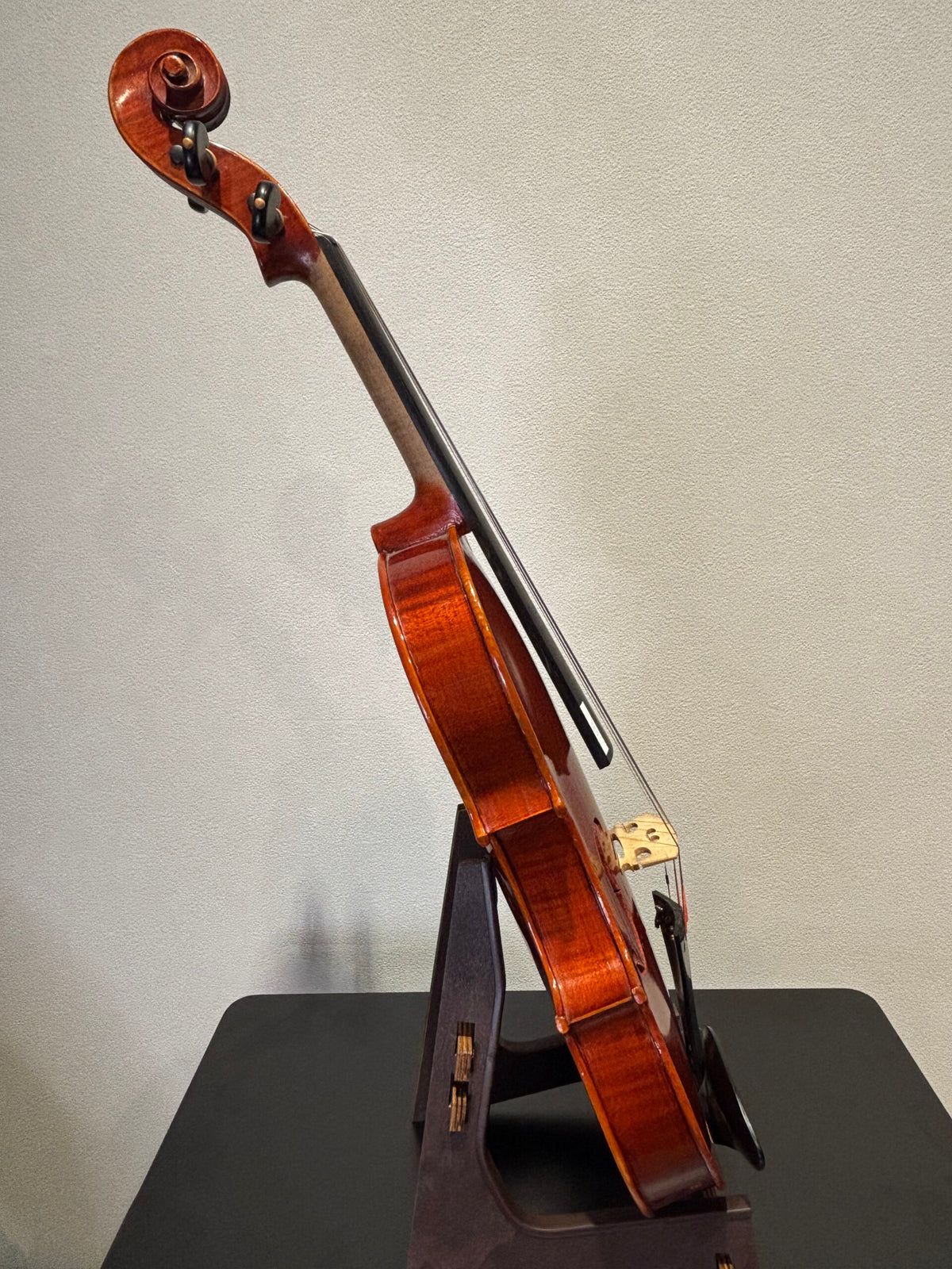 Joseph Stefan Made in Austria 2012