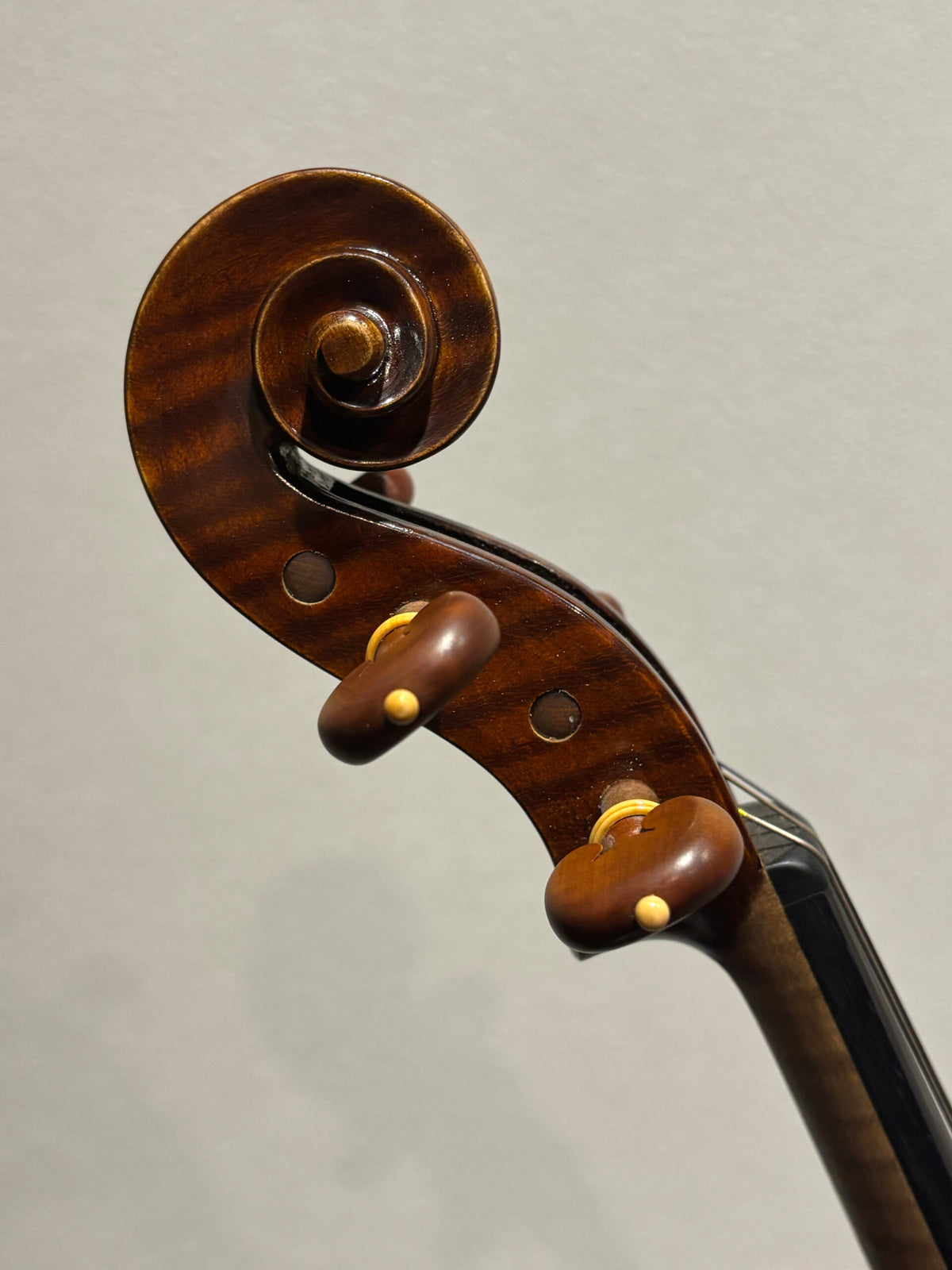 Ludwing Wurmer #10Made in Germany 2023年製作